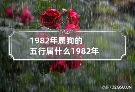 82屬什麼|1982年属什么 1982年属什么五行